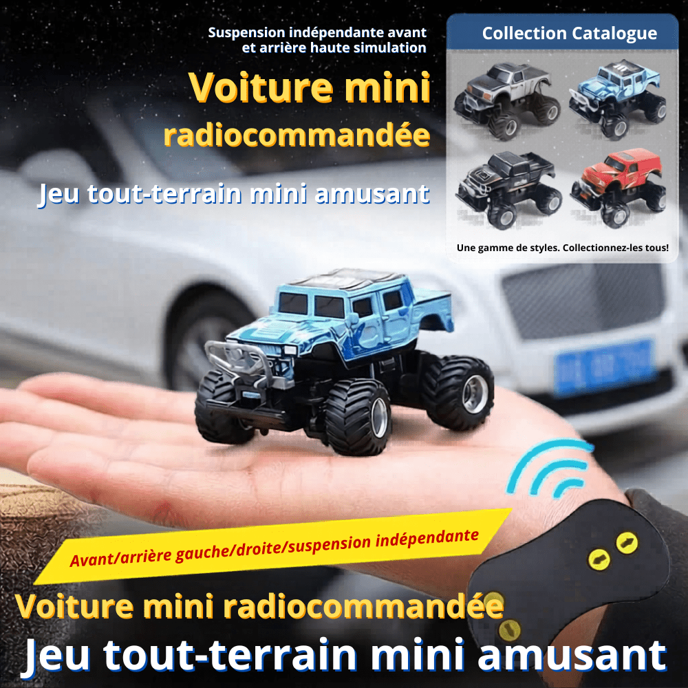 Petite voiture télécommandée tout terrain Voiture télécommandée