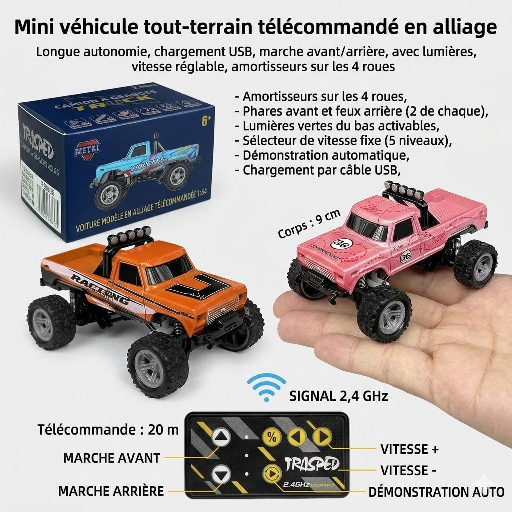 Tout terrain voiture télécommandée 4x4 Voiture télécommandée